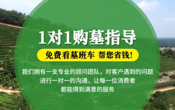 越秀贺州市钟山县祭祀用品的现代替代品有哪些？
